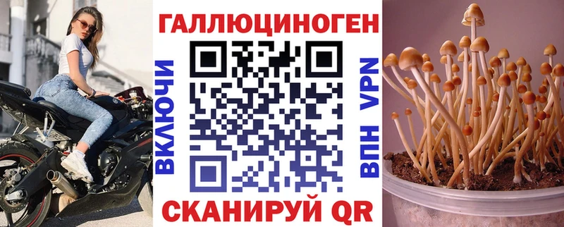 Псилоцибиновые грибы MAGIC MUSHROOMS  даркнет сайт  Гусиноозёрск 